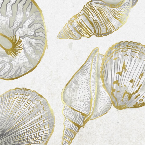 Collected Shells III