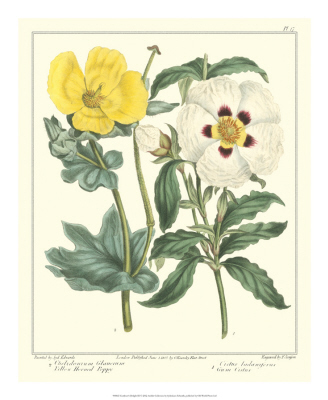 Gardener's Delight III