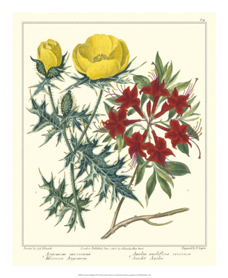 Gardener's Delight VII