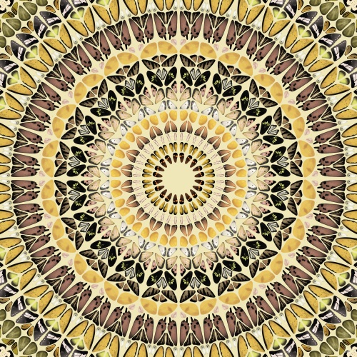 Mandala Pattern  II