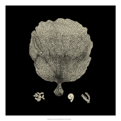 Black And Tan Coral I