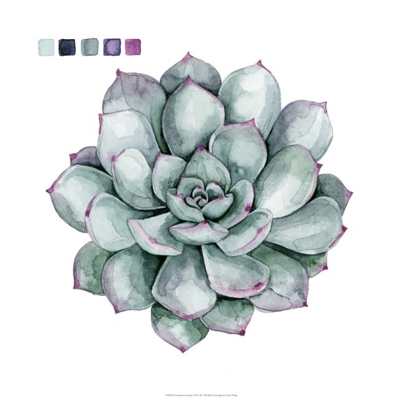 Succulent Swatches II