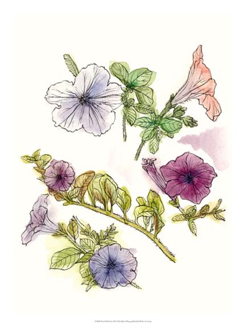 Floral Field Notes III